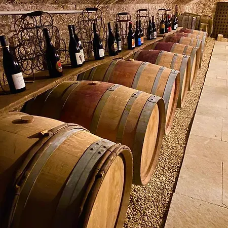 Chateau Des Janroux *