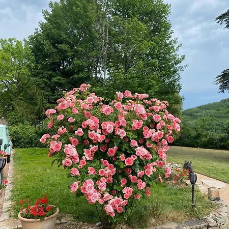 Hébergement de vacances Chateau Des Janroux Juliénas